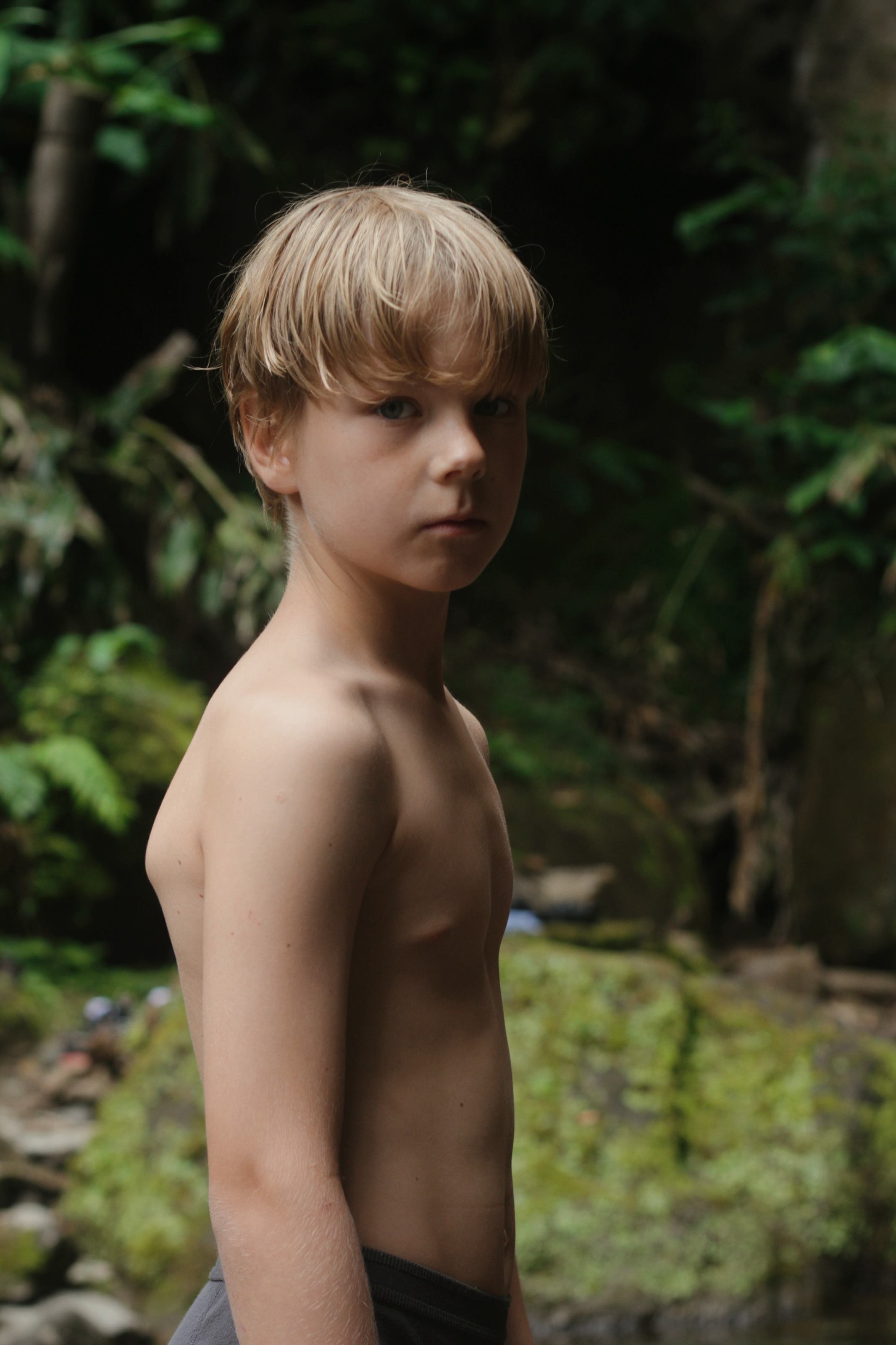 Retrato de un niño rubio entre el verde del bosque